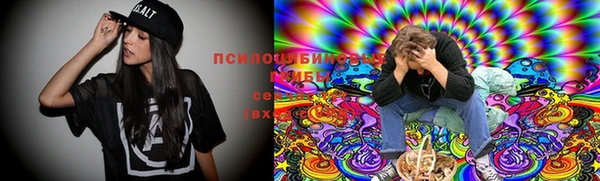Альфа ПВП Алзамай
